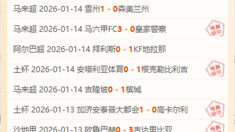 “早田希娜：日本乒坛之光，携手强手共攀高峰追梦”